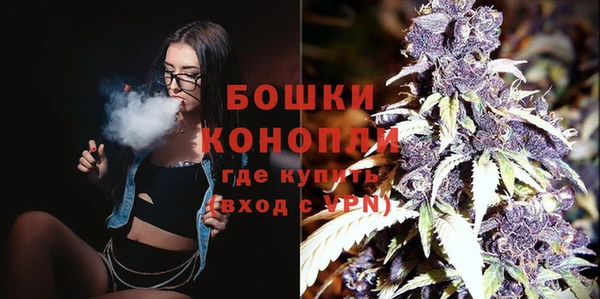 гидропоника Рославль